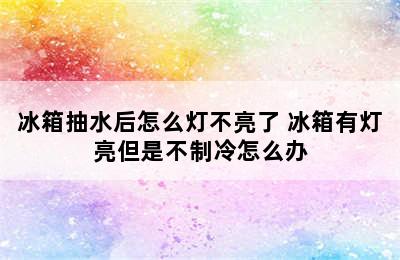 冰箱抽水后怎么灯不亮了 冰箱有灯亮但是不制冷怎么办